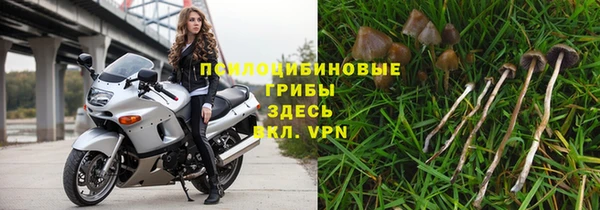 таблы Алзамай