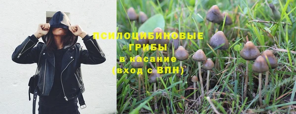 таблы Алзамай