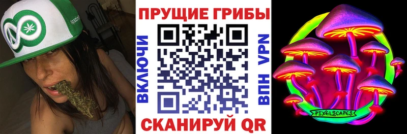цены   нарко площадка состав  Псилоцибиновые грибы Magic Shrooms  Ставрополь 