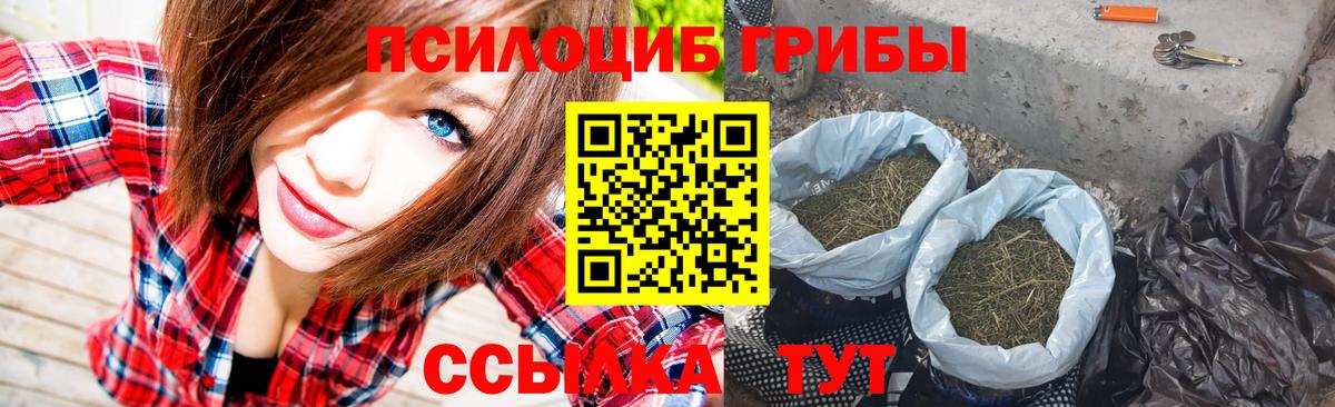 Псилоцибиновые грибы GOLDEN TEACHER  Галлюциногенные грибы MAGIC MUSHROOMS  Ставрополь  Вход с VPN 