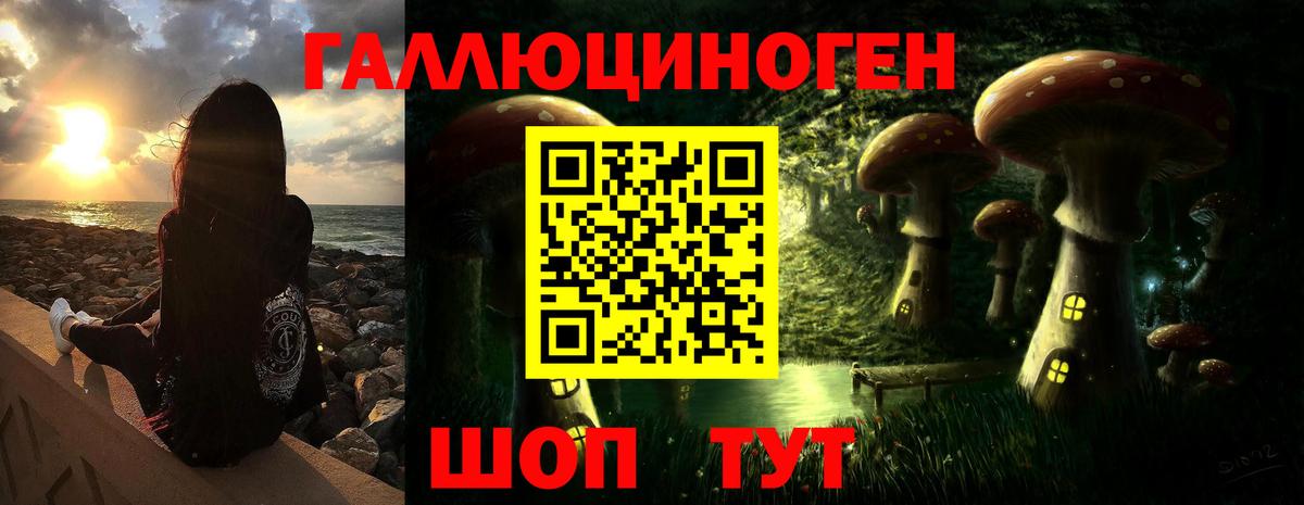 Псилоцибиновые грибы Psilocybine cubensis Ставрополь